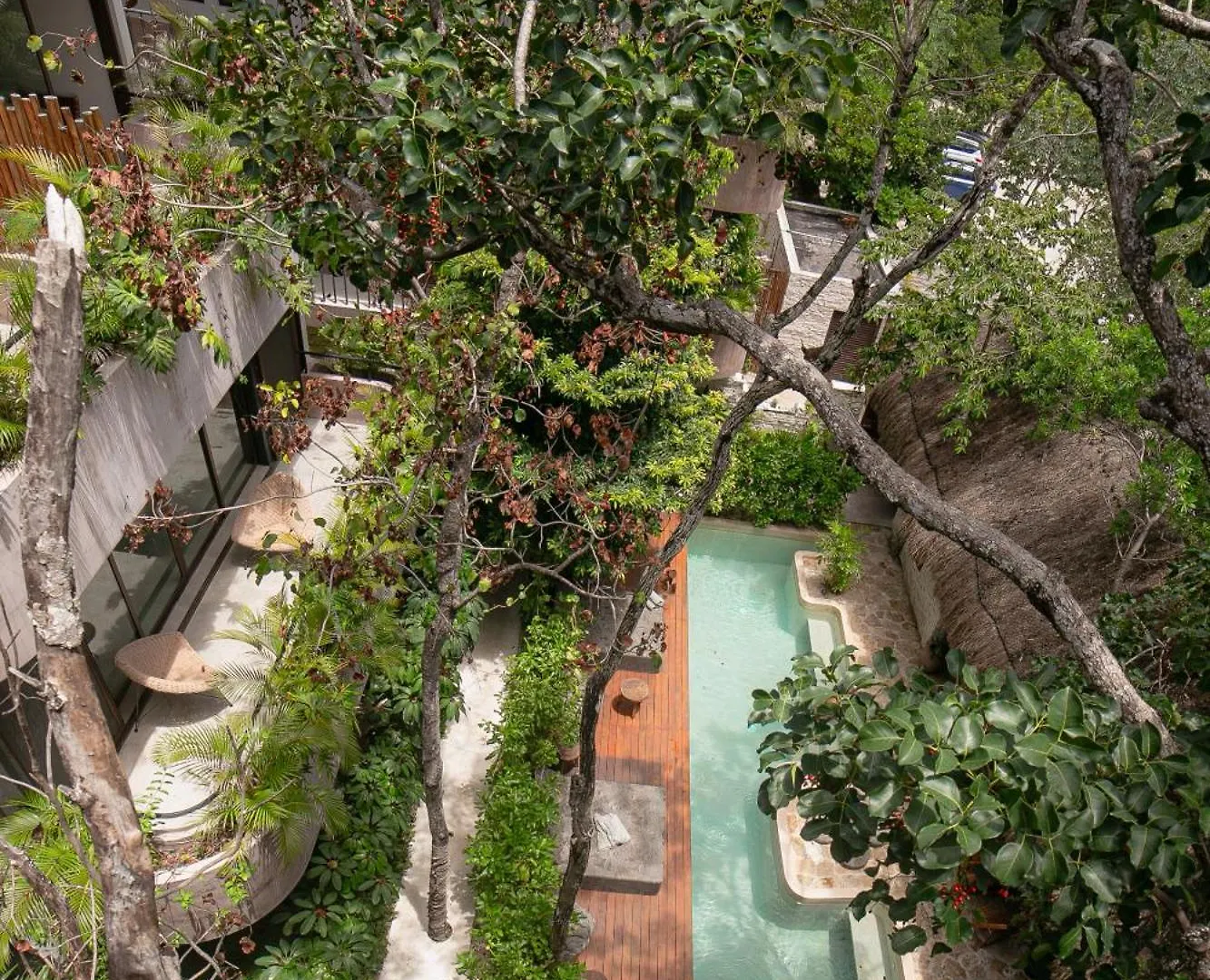 Zereno Tulum Beach Club Access